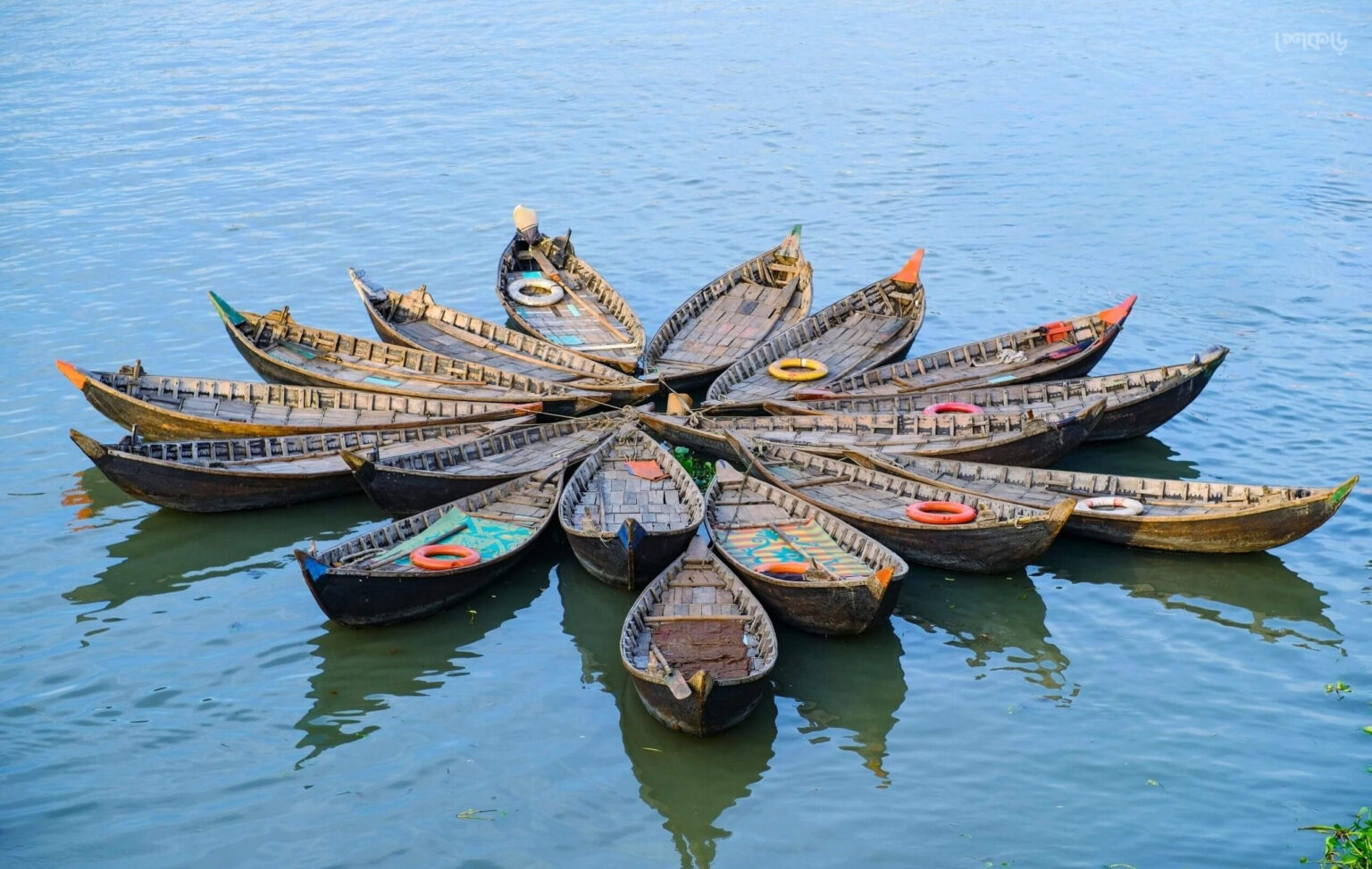 নৌকা - শেকড়