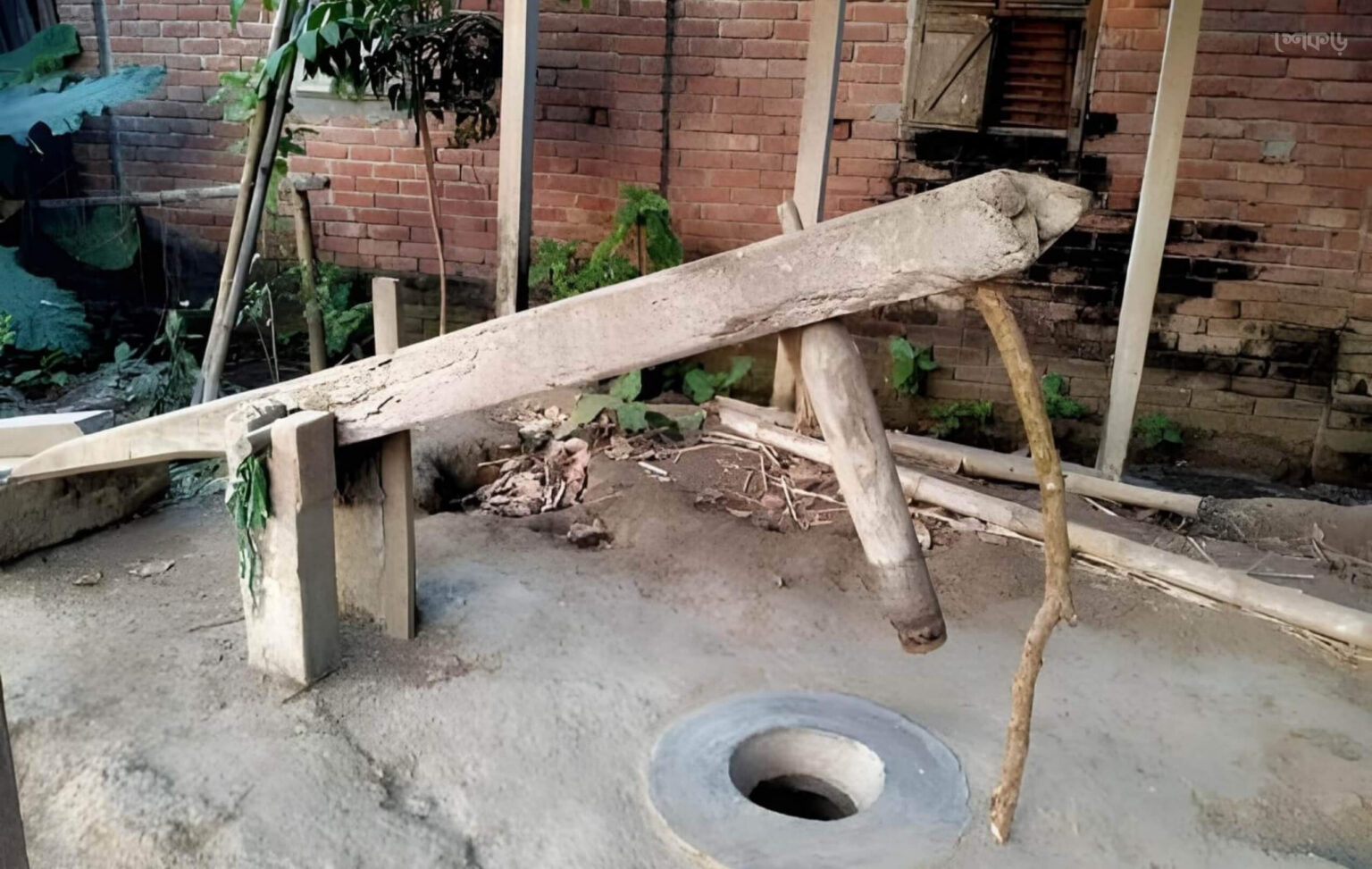 ঢেঁকি - শেকড়